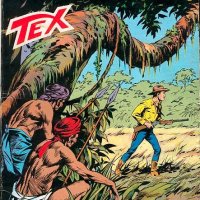 Tex Nr. 312:  Gli strangolatori         