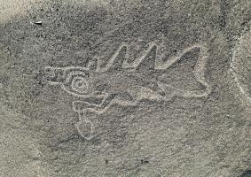 Discovered over 300 new Nazca lines