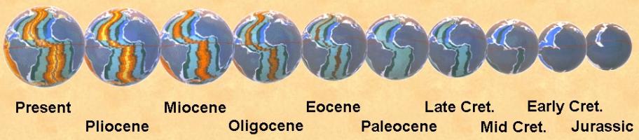 Global expansion tectonics