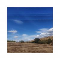 The almost harvest season in Sardinia