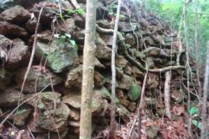 Expedition to Rio Guaporé Jungle: Great Mystery of Lost City of Labirinto