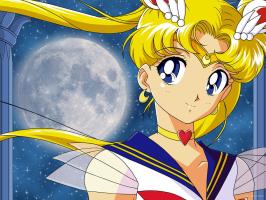 Bushido Senshi Sailor Moon