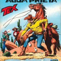 Tex Nr. 453:  I pozzi di Agua Prieta    