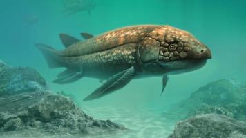 Discovery of the lungfish Ferganoceratodus edwardsi