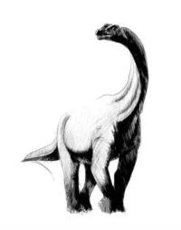 Mokele-Mbembe: Modern Dinosaurs