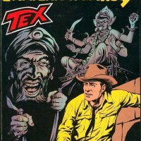 Tex Nr. 313:  La caverna dei Thugs      