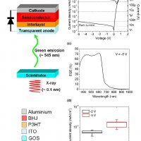 Large Active Area Organic Photodiodes for Short-Pulse X-ray Detection