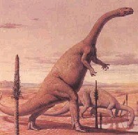 Plateosaurus