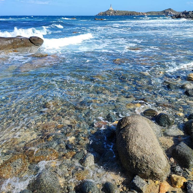 Cala burroni