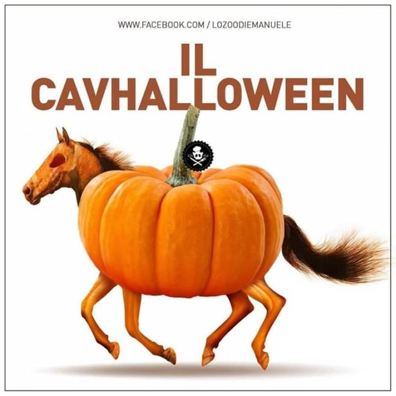 Il Cavhalloween 