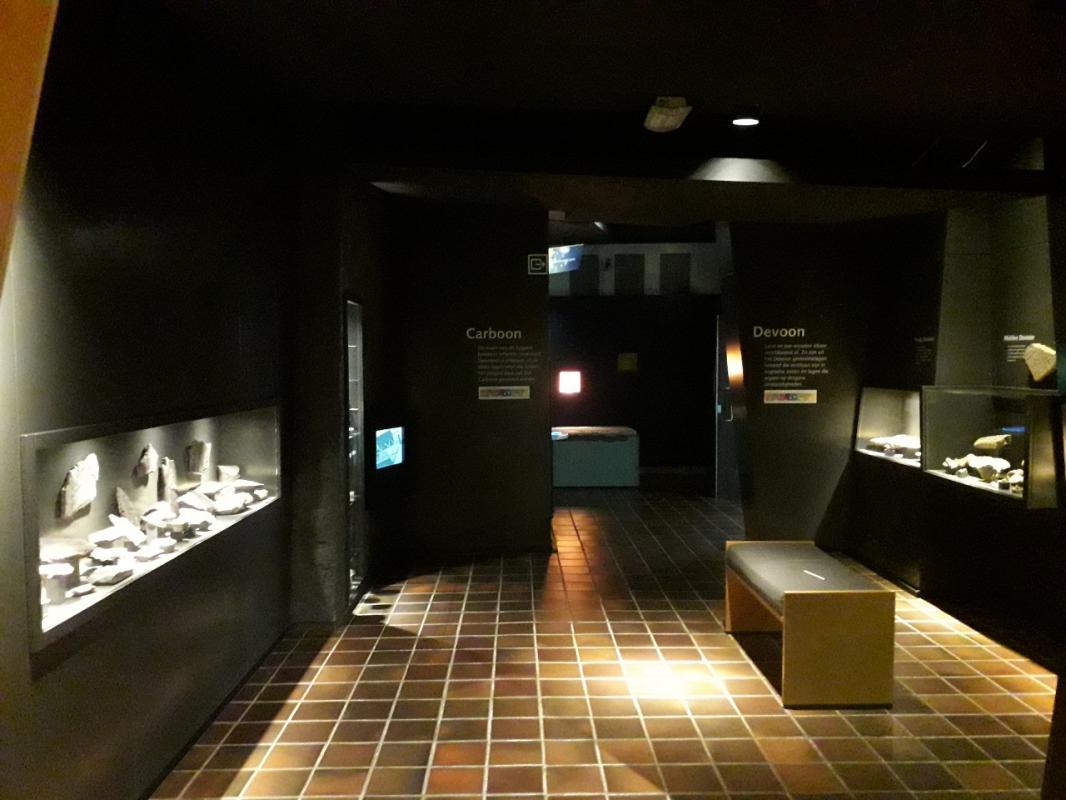 Natuurhistorisch Museum Maastricht