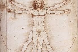 Figure 19: The Vitruvian Man