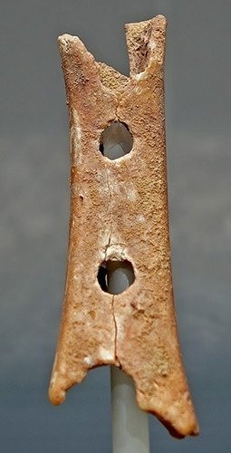 The famous Neanderthal flute found in Slovenia, with surprising sound capabilities. This find has be