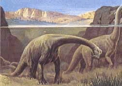 Brachiosaurs