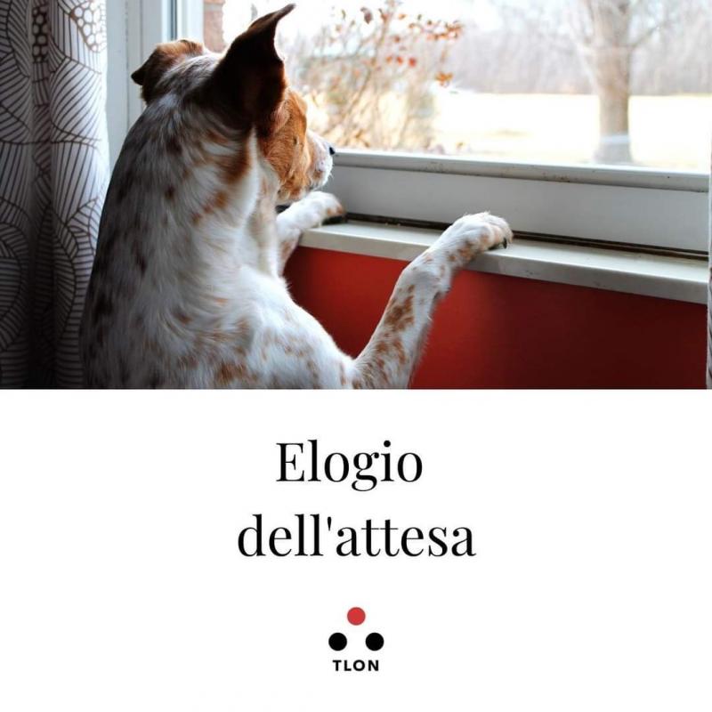 Elogio dell'attesa