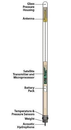 Structure of a RAFOS buoy