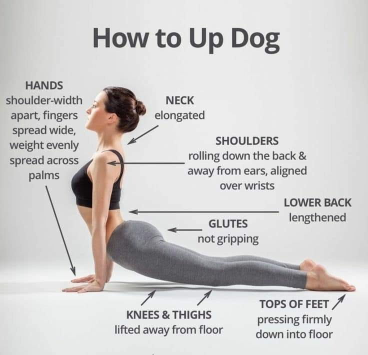 Up dog pose