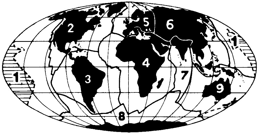 Figure 36 Lithospheric first-order primary polygons surrounded by circum-continental spreading diapi