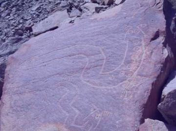 The cult of the two-headed serpent, emblem of the Chichitarra petroglyphs