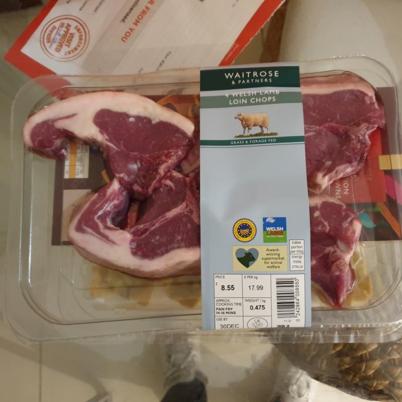 Agnello 