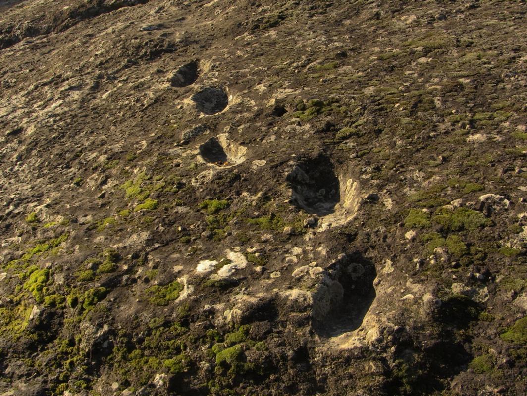 The famous Devil's Ciampate, the oldest human footprints left by adolescents of Homo Heidelbergensis