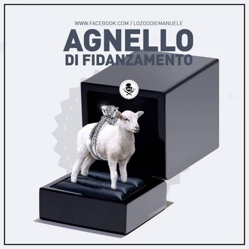 L' Agnello di Fidanzamento 