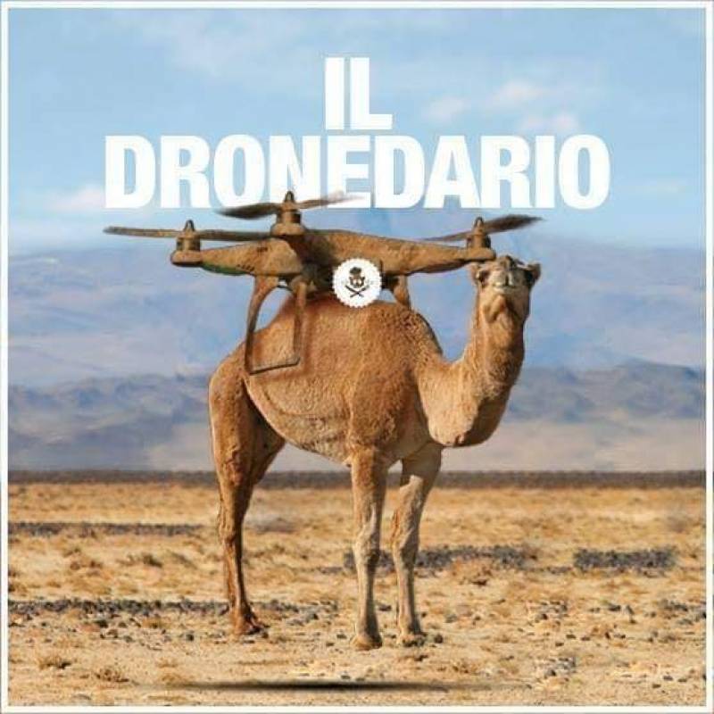 Il Dronedario 