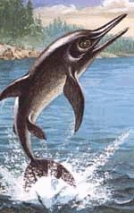 Ichthyosaurus