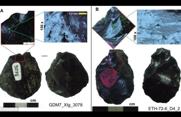 The tool that dates back the appearance of man by 85 thousand years