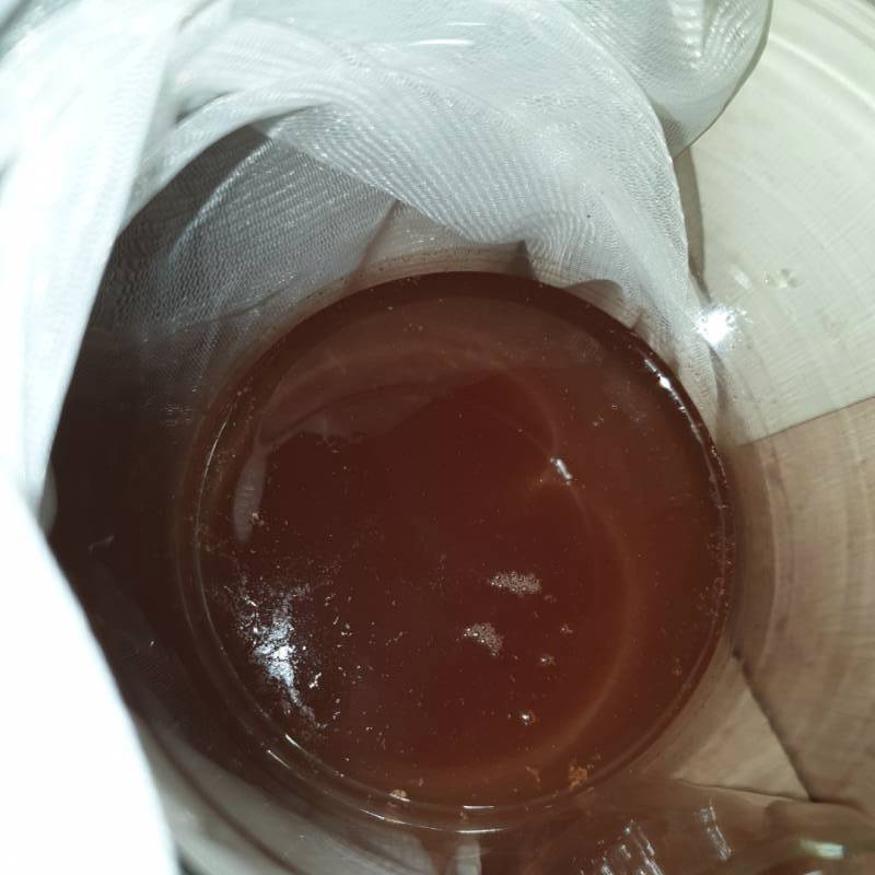 Experimenting kombucha: creating scoby from scratch ( shop case) 