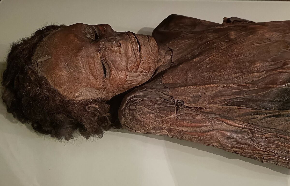 A Guanche mummy, a girl of about thirty years old, perfectly preserved. Notice the high cheekbones a