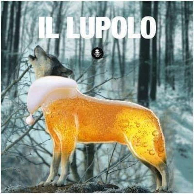 Il Lupolo