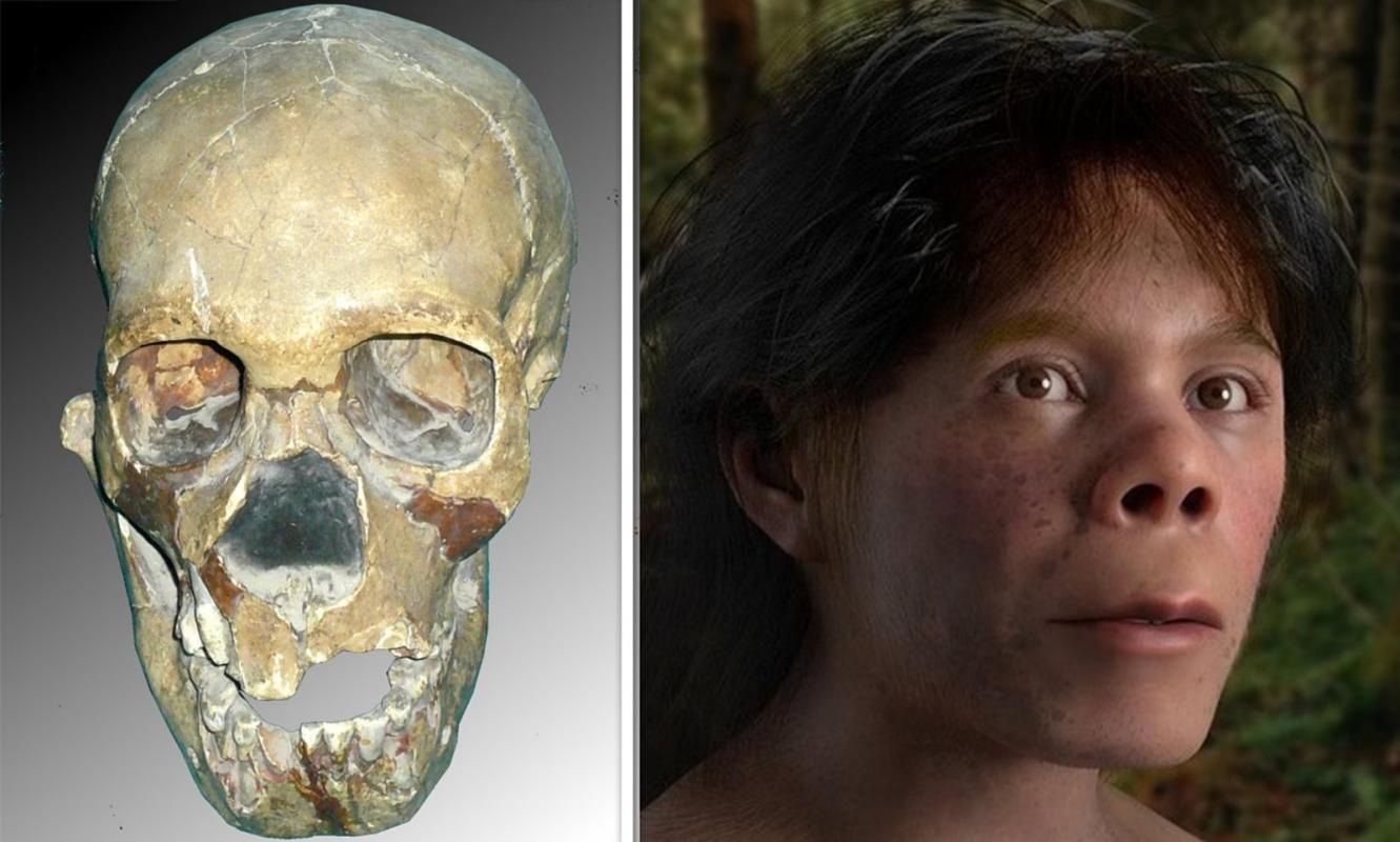 Portrait of an 8-year-old Neanderthal boy reconstructed using a skull found in the Teshik-Tash cave 