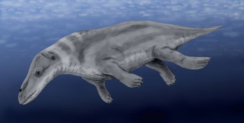 Protocetus reconstruction