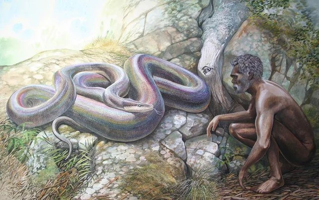 The Wonambi was a snake similar to the Reticulated Python, twelve meters long.