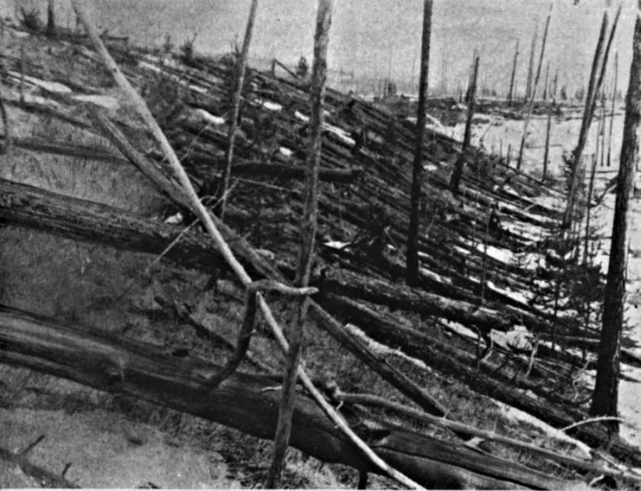 Photo of burned and fallen trees. Note that all trees are pointing to a single direction.