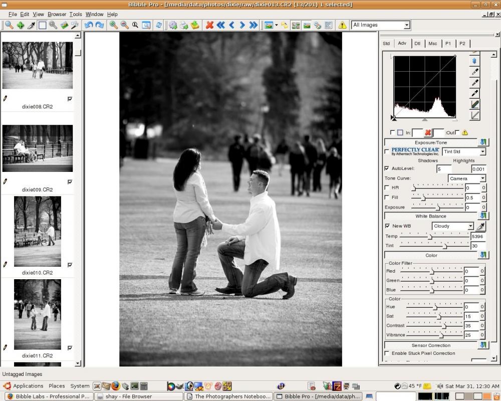 Black and white image conversion in Bibble Pro