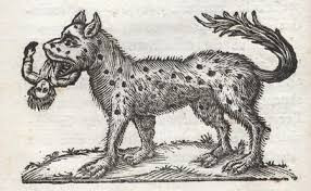 The ferocious beast that killed ten people in 1792 near Milan (Italy). Although similar to a wolf, i