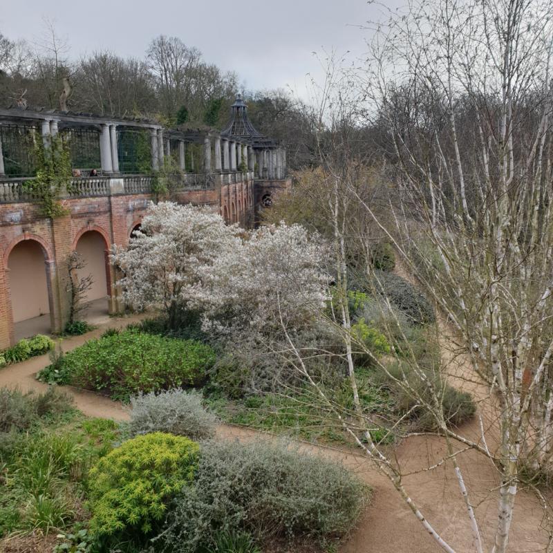 ANCIENT London Health, Hidden Garden & Pergola 04