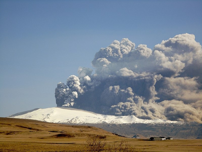 The Toba catastrophe, when Homo Sapiens was in real danger of extinction