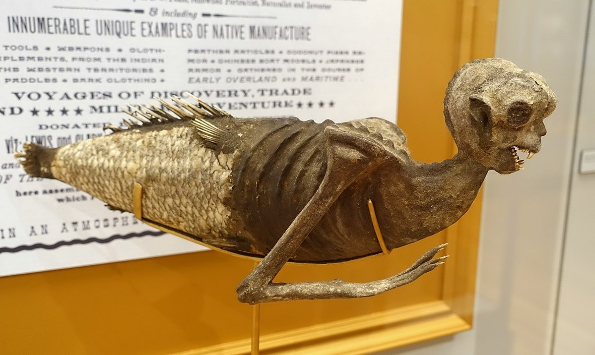 A photo of an Ichthyanthropus, apparently the mummy of a mermaid found at the end of the 19th centur