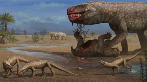 A reptile that lived before the dinosaurs has been discovered in Brazil