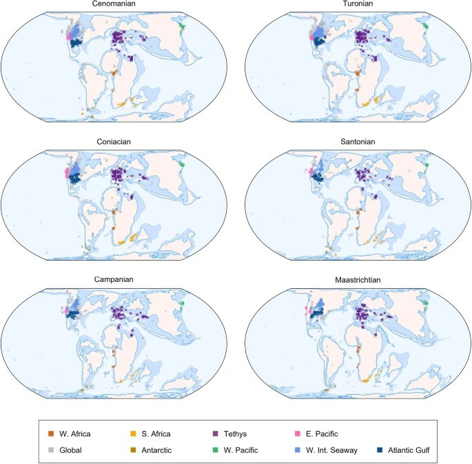 Chosen regions corresponding to biogeographically distinct ammonoid provinces with sufficient data t