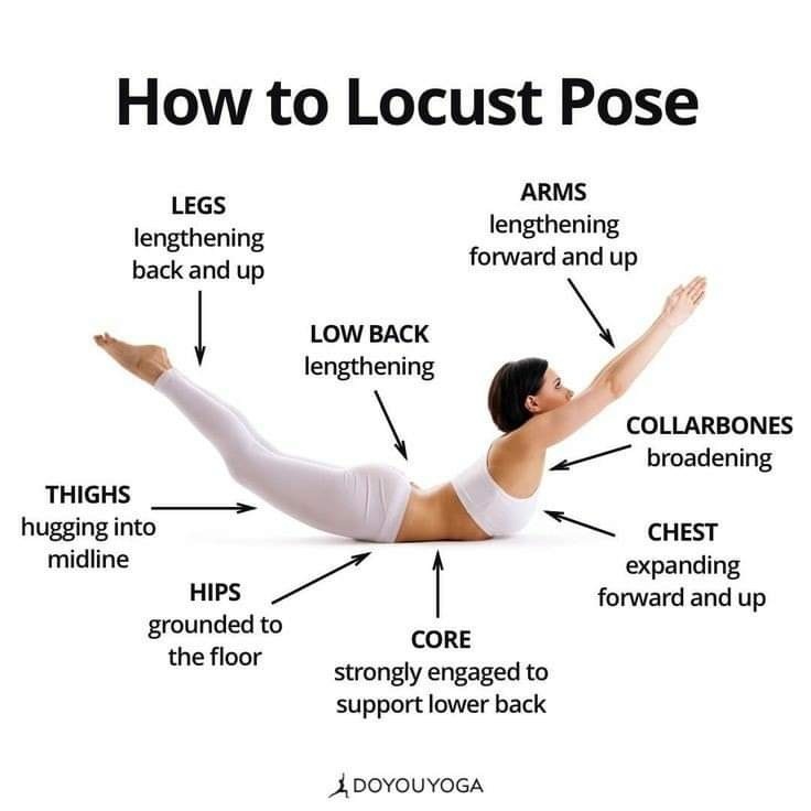 Locust Pose