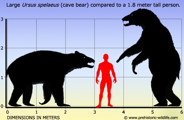 A Cave Bear compared to a man. The size of the animal is evident, larger than a modern grizzly.