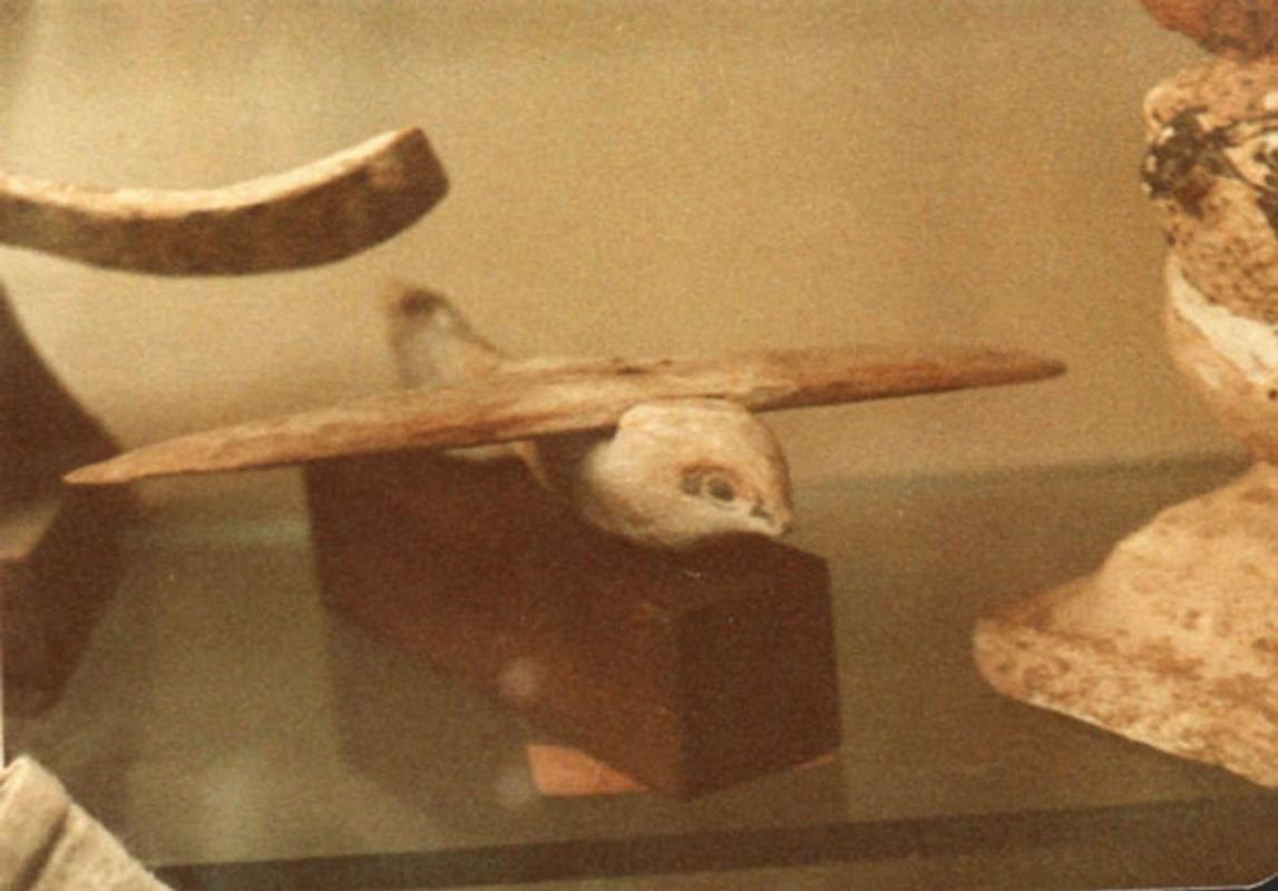 The Saqqara Bird