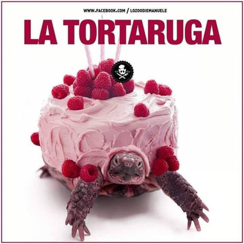 La Tortaruga