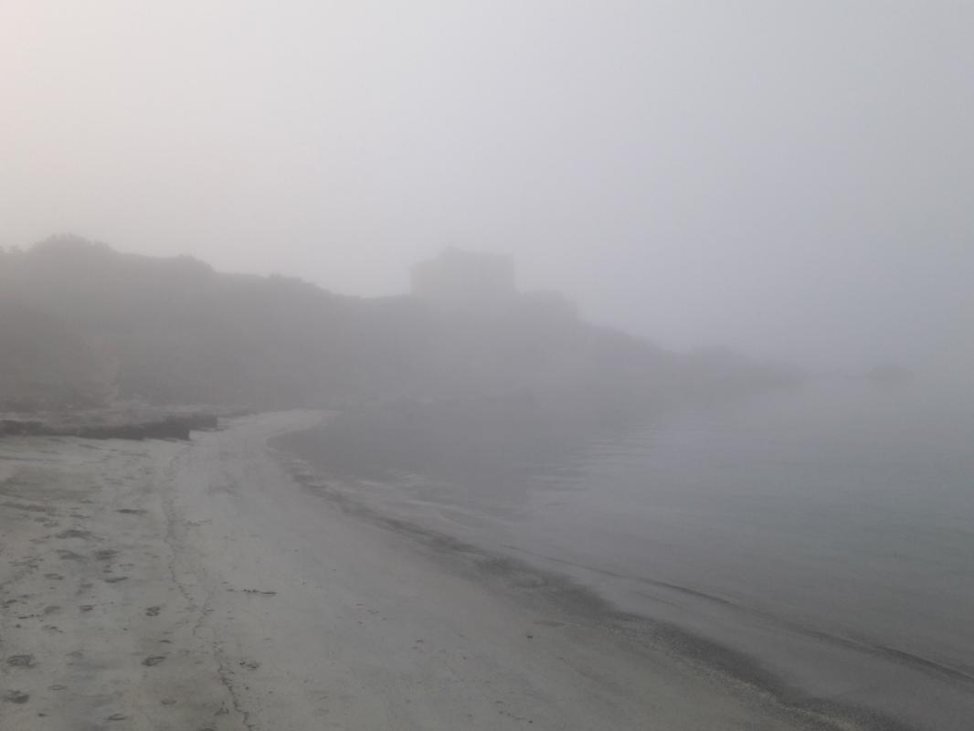 A very foggy day