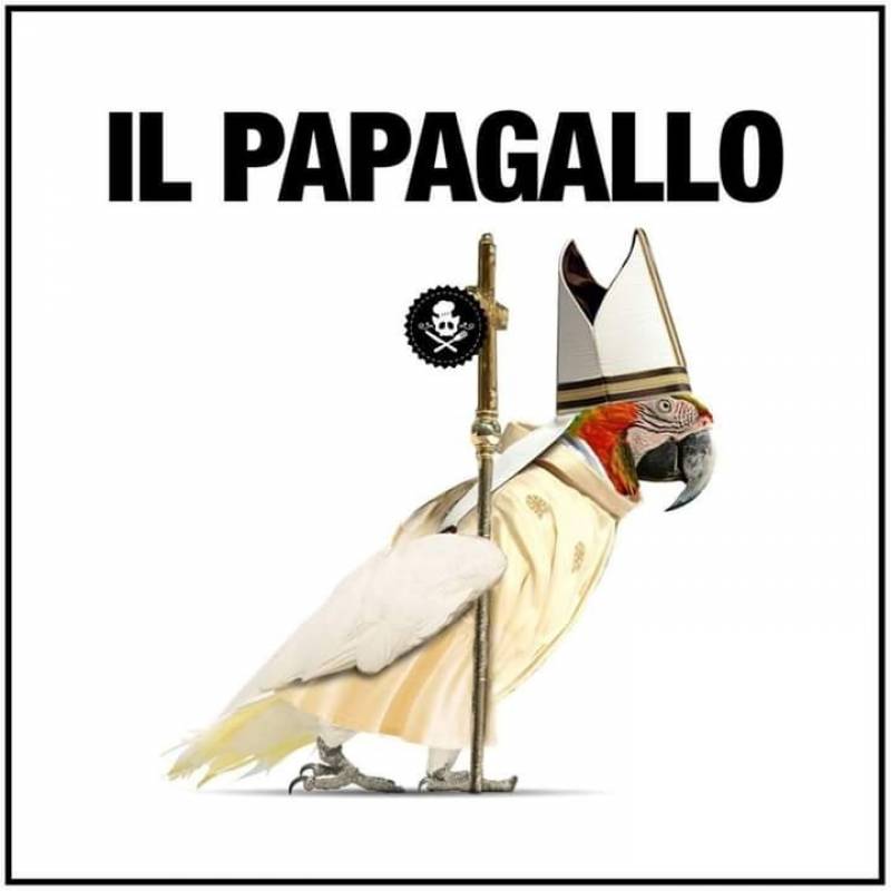 Il Papagallo