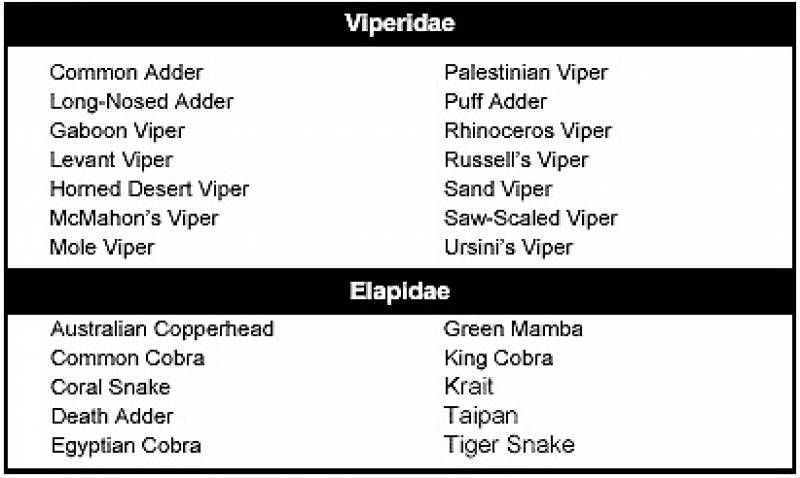 /* Figure E-3 Snake Families */